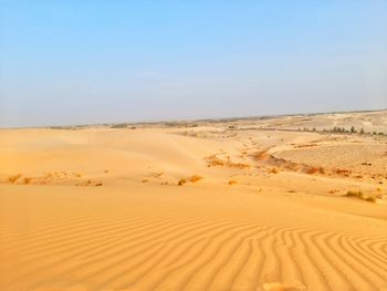 Golden sand desert