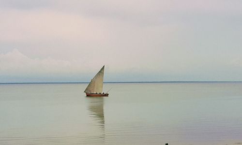 Sailboat sailing on sea against sky