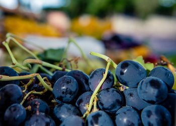 Close-up of berries in water