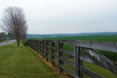 Scenic view of field against clear sky