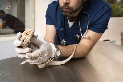 Veterinarian examining iguana on table at clinic