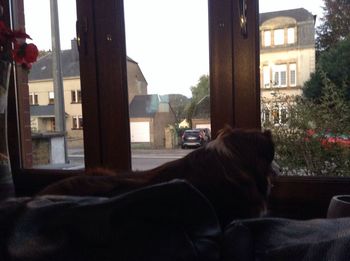 window