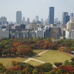 Trees and cityscape against clear sky