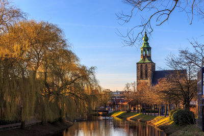 Weeping willow by river against sky