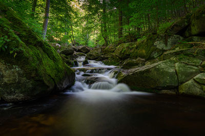 Stream flowing through rocks in forest