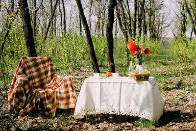 Table in forest