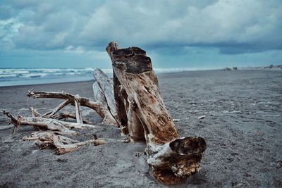Driftwood on sand at beach against cloudy sky