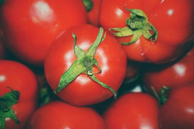 Close-up of tomatoes