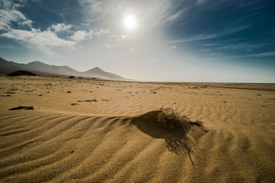 Sand dunes in desert against sky