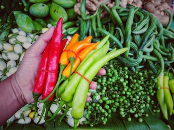 Midsection of person holding chili peppers