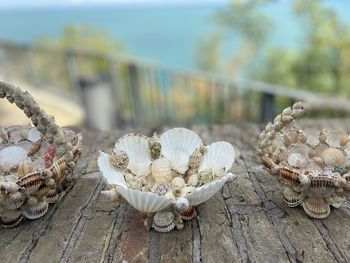 Close-up of shells on beach