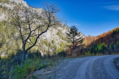 Empty road along trees during autumn