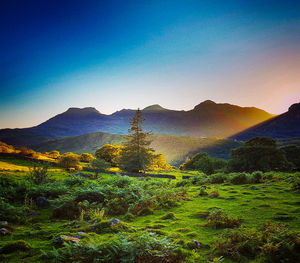 Scenic view of landscape against clear sky