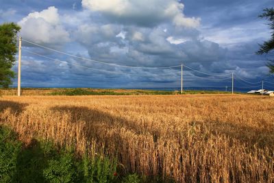 Scenic view of field against cloudy sky