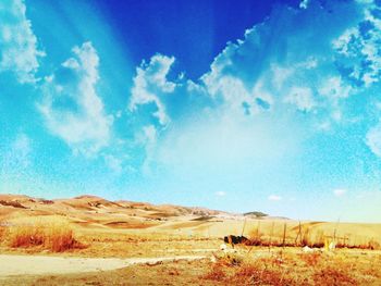 Panoramic view of landscape against blue sky