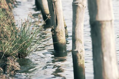 Close-up of water