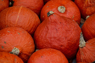 Full frame shot of pumpkins in market