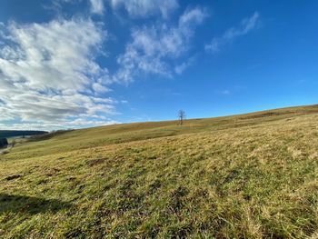 Scenic view of field against sky