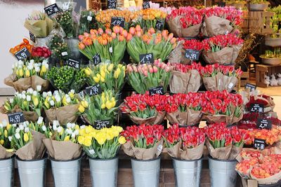 Close-up of flowers for sale in market