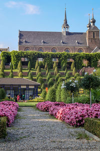 View of flowering plants in front of building