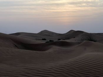 Sand dune in a desert