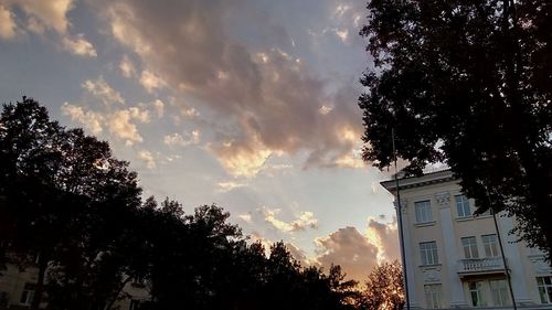 Low angle view of silhouette trees against sky