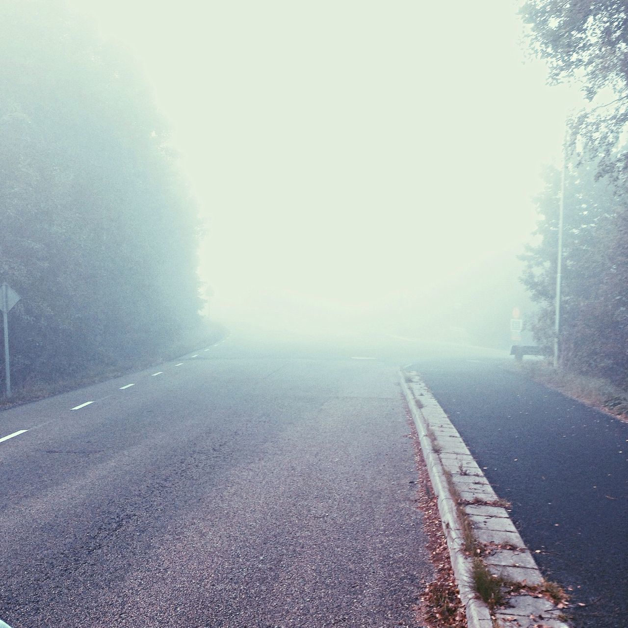 fog, the way forward, foggy, road, transportation, weather, tree, tranquility, tranquil scene, diminishing perspective, nature, vanishing point, beauty in nature, sky, street, empty road, scenics, road marking, outdoors