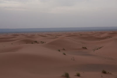 Scenic view of sandy beach