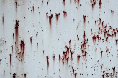 Full frame shot of rusty metal