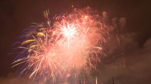 Low angle view of firework display at night