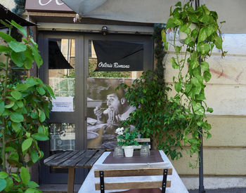 Potted plants on table by building