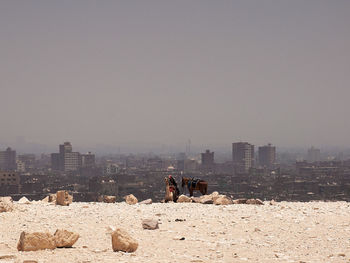 Horse and camel by rocks on field against clear sky