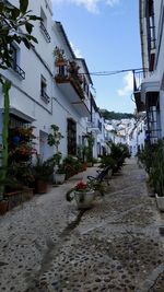 Empty alley amidst buildings in city