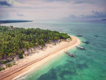 Aerial view of palm trees at beach against sky