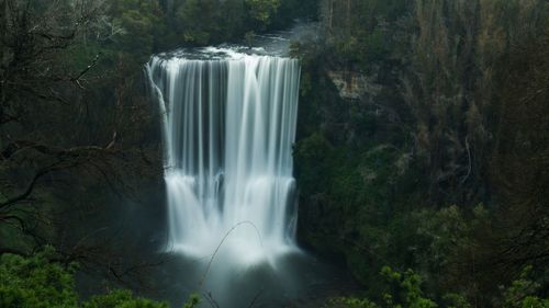 Scenic view of waterfall in forest