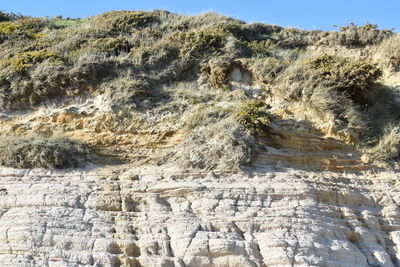Rock formation on land