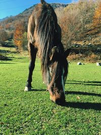 Full length of man shadow on grass