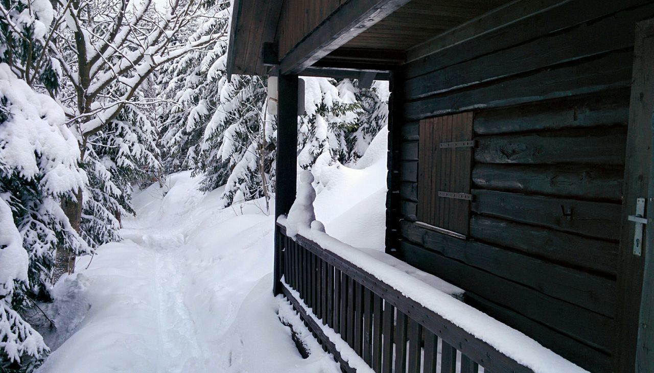 snow, winter, cold temperature, season, covering, built structure, weather, architecture, house, white color, covered, building exterior, wood - material, frozen, tree, white, day, window, railing, steps