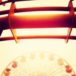 Close up of yellow flower