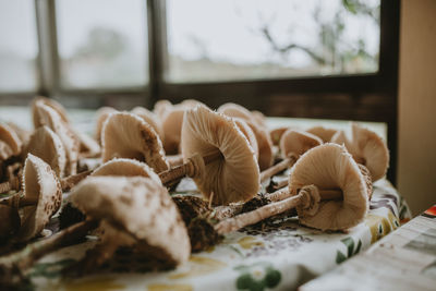 Close-up of food on table at home