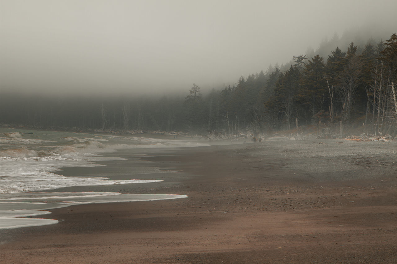 SCENIC VIEW OF FOGGY WEATHER