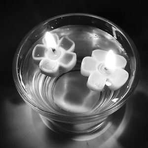 Close-up of food on table