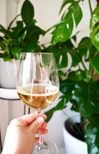 Close-up of hand holding glass of wine