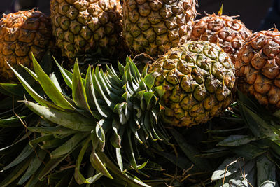 Close-up of pineapple