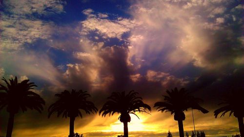 Low angle view of palm trees against cloudy sky