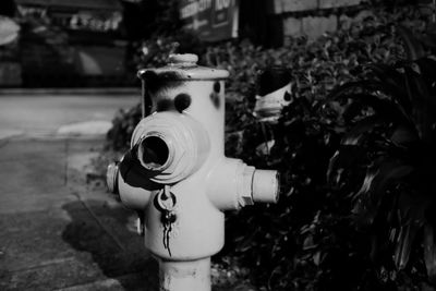 Close-up of fire hydrant