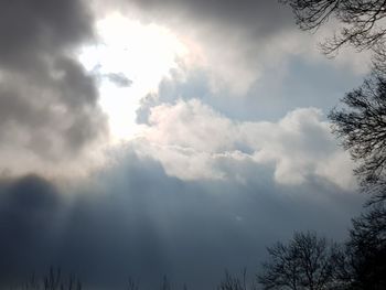 Low angle view of silhouette trees against sky