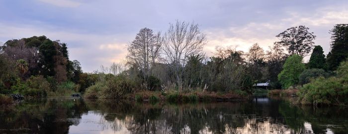 Scenic view of lake by trees against sky