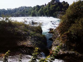 Scenic view of waterfall in forest