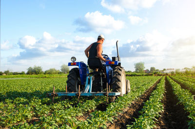 The farmer drives a tractor and plows the field. agroindustry and agribusiness. cultivation 